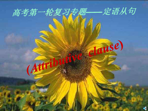 高考英语定语从句及高考考点分析