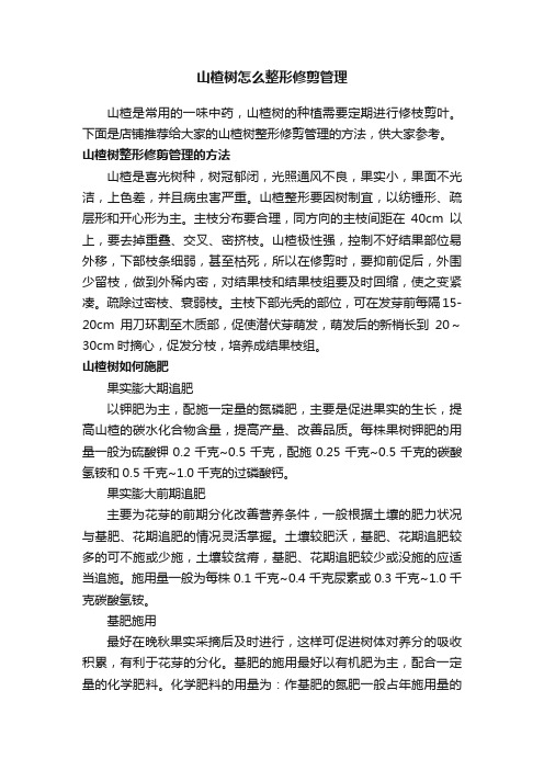 山楂树怎么整形修剪管理