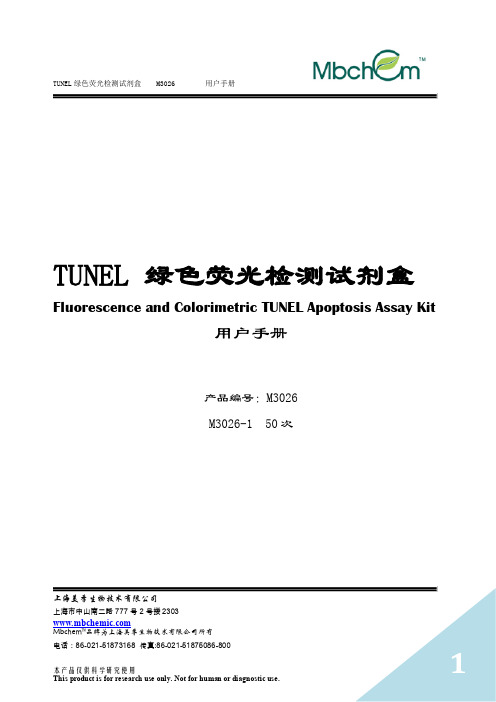 TUNEL 绿色荧光检测试剂盒 说明书