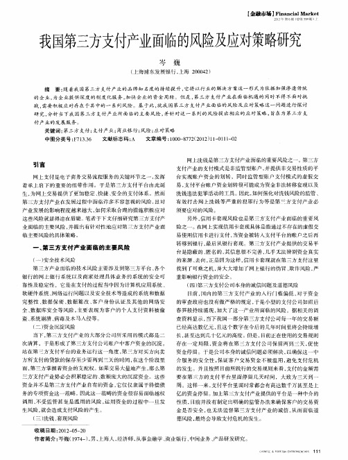 我国第三方支付产业面临的风险及应对策略研究