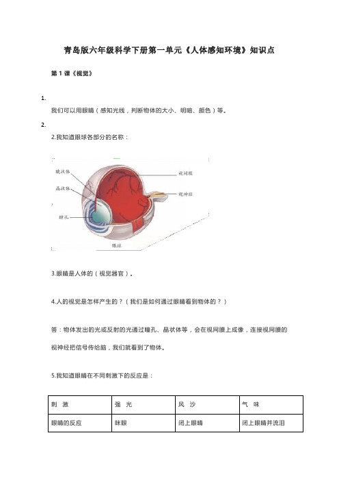 青岛版六年级科学下册第一单元《人体感知环境》知识点