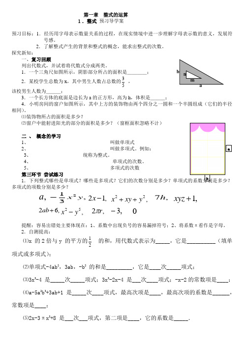 1.1整式预习导学案