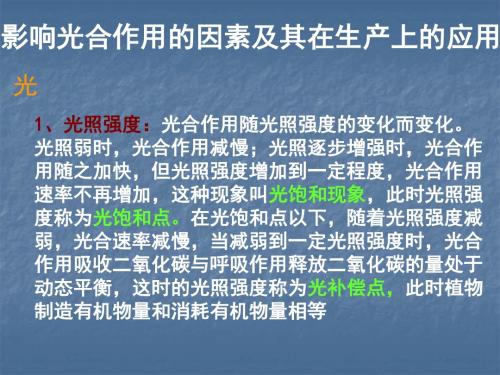 影响光合作用的因素及其在生产上的应用