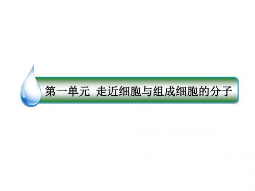 高考生物一轮复习课件1-4遗传信息的携带者——核酸 细胞中的糖类和脂类