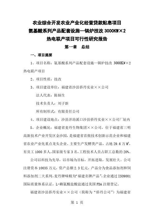 锅炉技改余压余热发电项目可行研究报告word资料31页