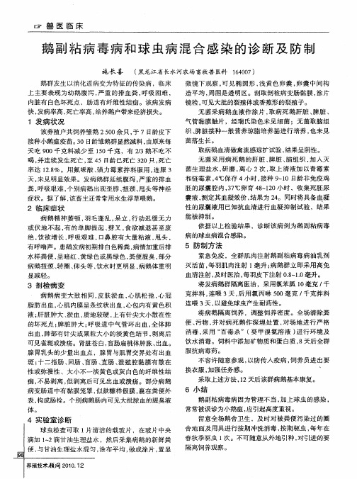 鹅副粘病毒病和球虫病混合感染的诊断及防制