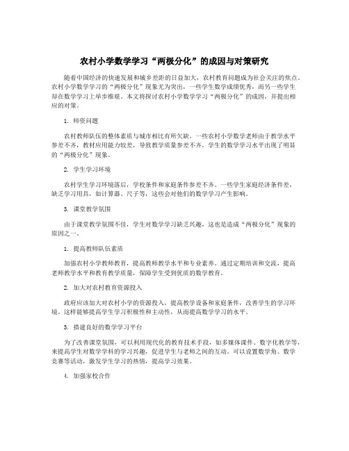 农村小学数学学习“两极分化”的成因与对策研究