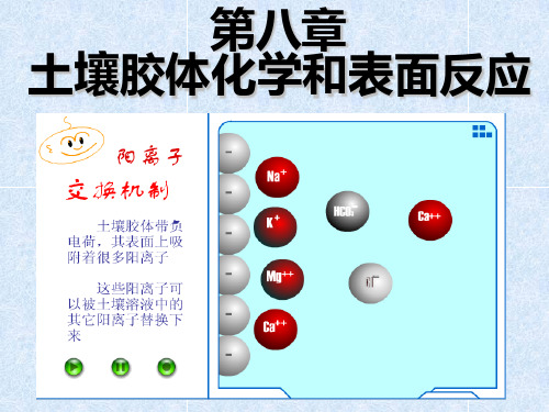 8土壤胶体化学和表面反应PPT课件