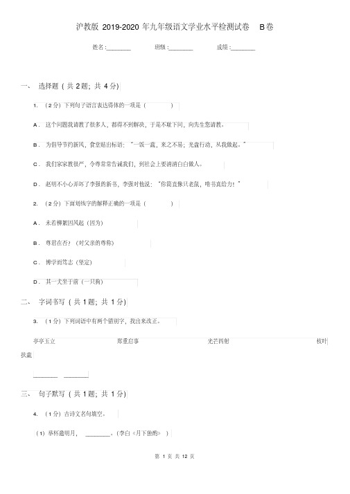 沪教版2019-2020年九年级语文学业水平检测试卷B卷.pdf