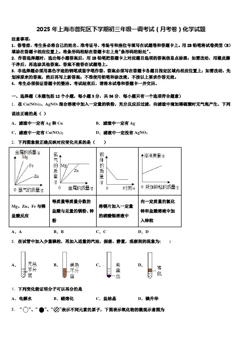 2025年上海市普陀区下学期初三年级一调考试(月考卷)化学试题含解析