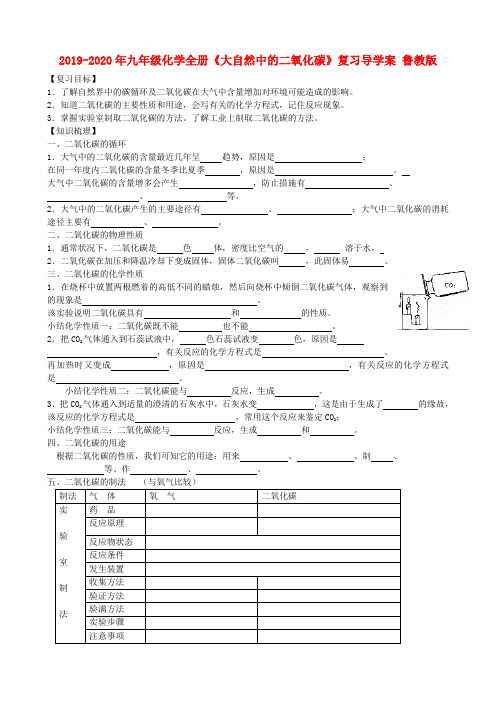 2019-2020年九年级化学全册《大自然中的二氧化碳》复习导学案 鲁教版