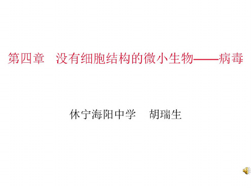 七年级生物没有细胞结构的微小生物病毒1