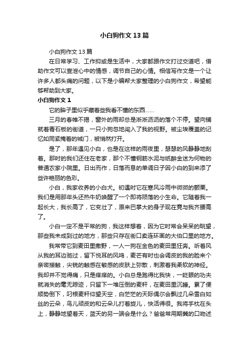 小白狗作文13篇