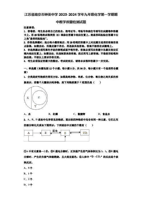 江苏省南京市钟英中学2023-2024学年九年级化学第一学期期中教学质量检测试题含解析