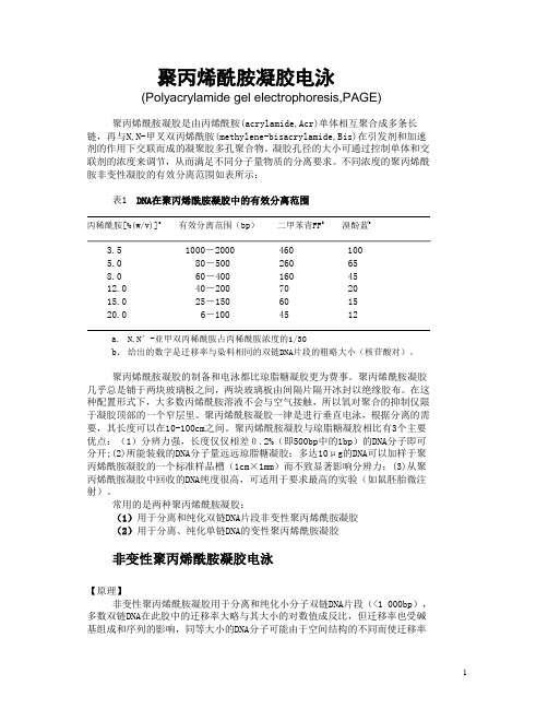 聚丙烯酰胺凝胶电泳