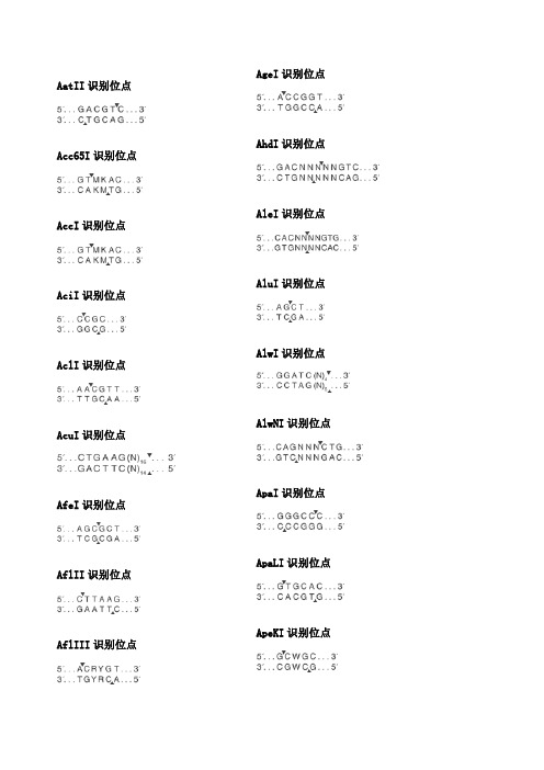 常见分子实验限制性内切酶酶切位点大全