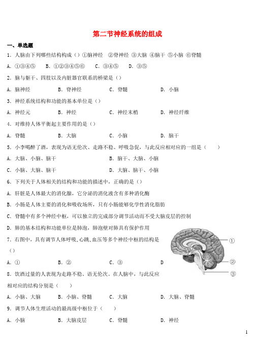 七年级生物下册4.6.2神经系统的组成习题新版新人教版