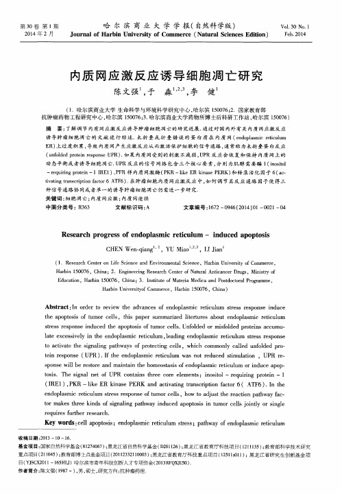 内质网应激反应诱导细胞凋亡研究