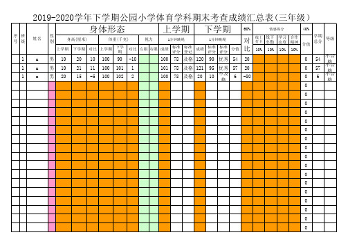 2019-2020下体育学科期末考查成绩汇总表(三年级)