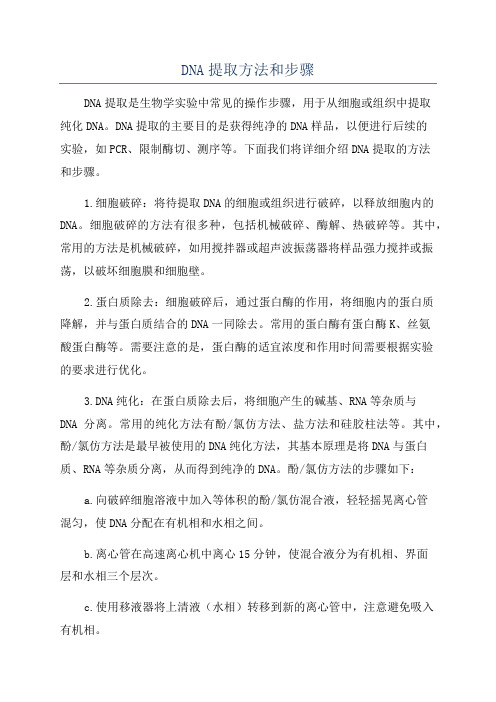 DNA提取方法和步骤