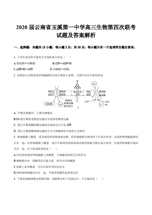 2020届云南省玉溪第一中学高三生物第四次联考试题及答案解析