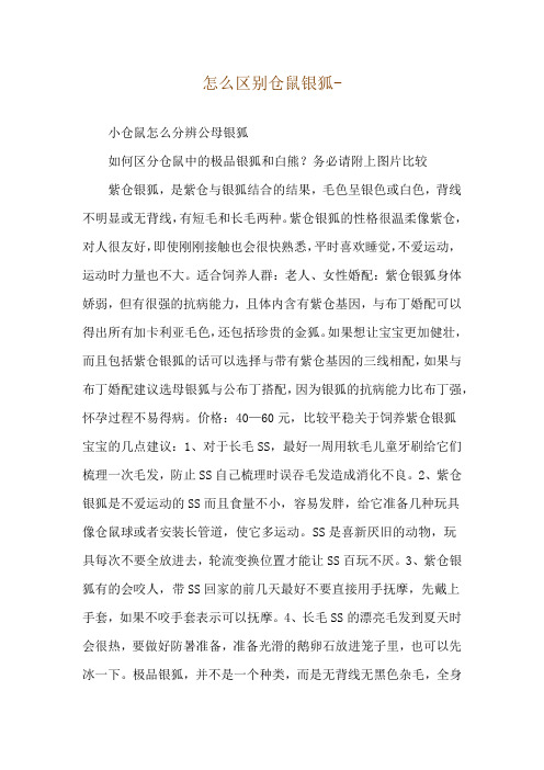 怎么区别仓鼠银狐--小仓鼠怎么分辨公母银狐