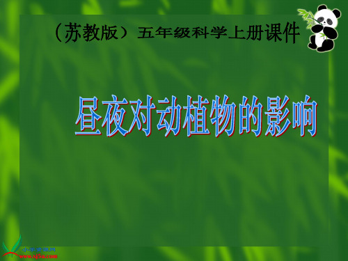 苏教版小学科学五年级上册《昼夜对动植物的影响》课件