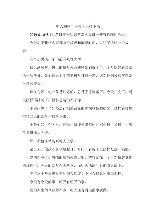 明天的树叶不会今天掉下来