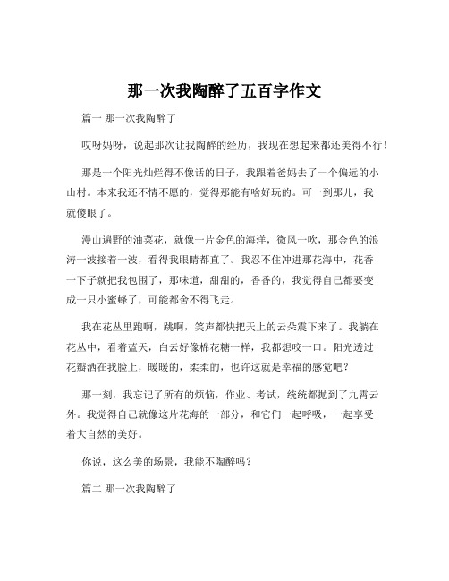 那一次我陶醉了五百字作文