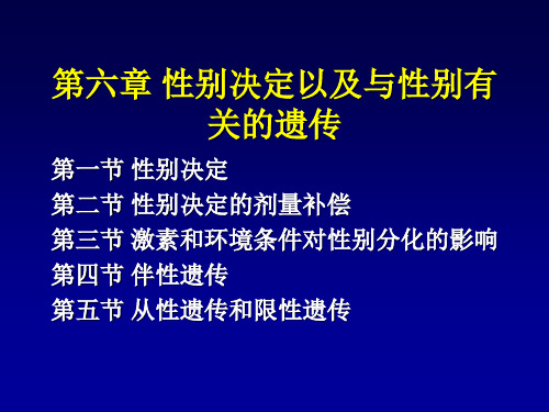 《动物遗传学》教学课件：第六章-性别决定及与性别有关的遗传