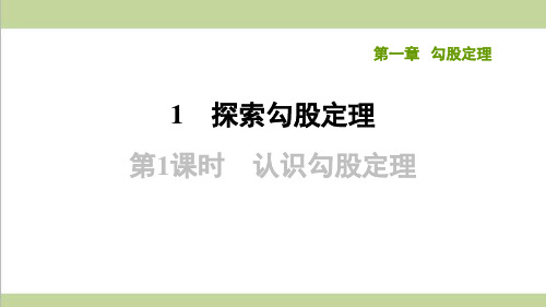 北师大版八年级上册数学 1.1.1认识勾股定理 课后习题练习复习课件