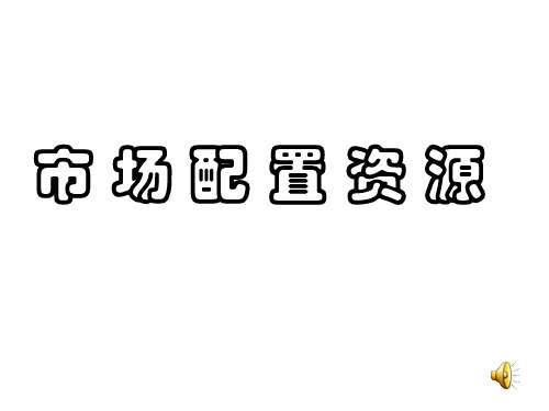 市场配置资源研究报告
