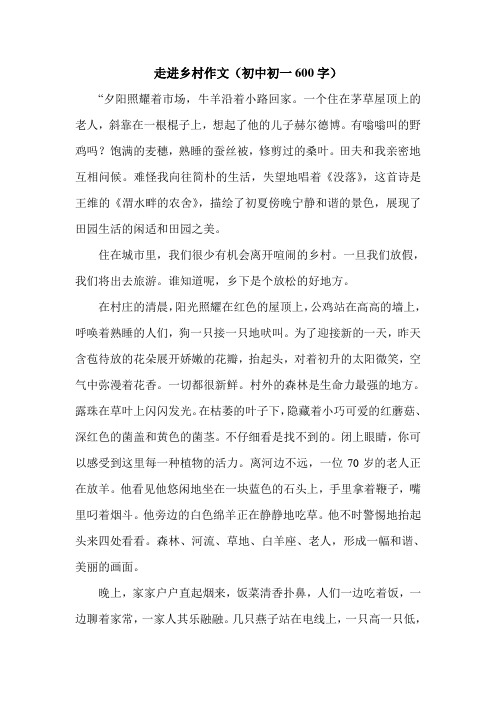 走进乡村作文(初中初一600字).doc