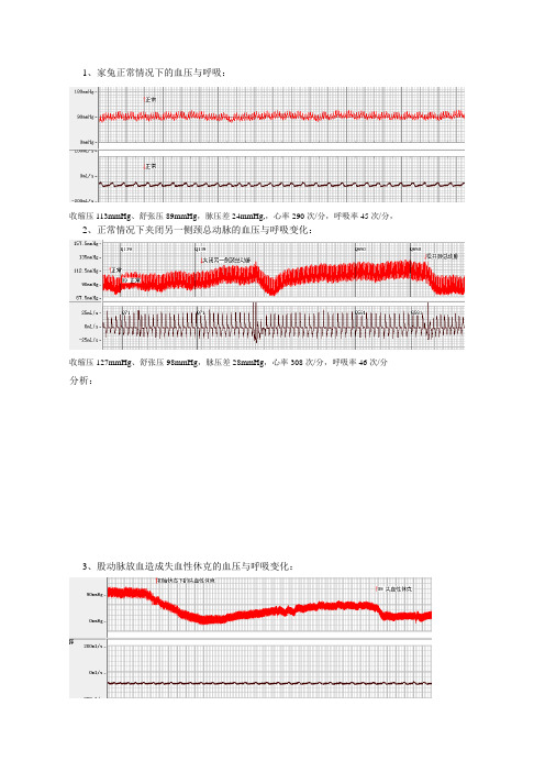 机能实验休克与抗休克