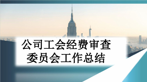 公司工会经费审查委员会工作总结