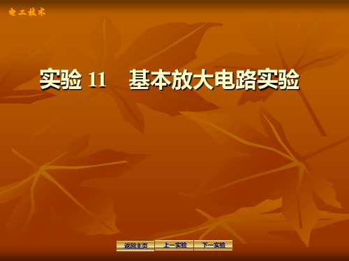 实验11基本放大电路实验