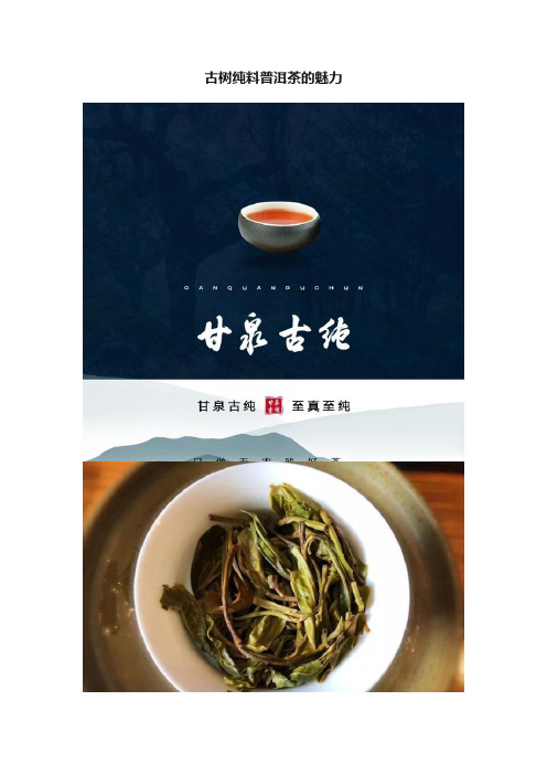 古树纯料普洱茶的魅力