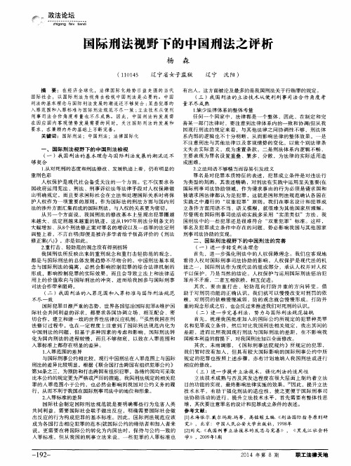 国际刑法视野下的中国刑法之评析