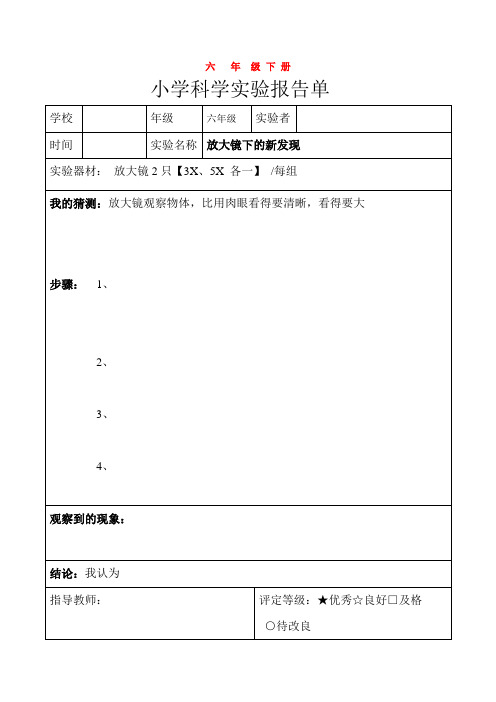 科教版六年级下册科学实验报告单