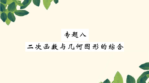 2019年中考数学复习专题8二次函数与几何图形的综合精讲ppt版本