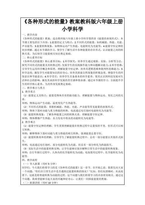 《各种形式的能量》教案教科版六年级上册小学科学