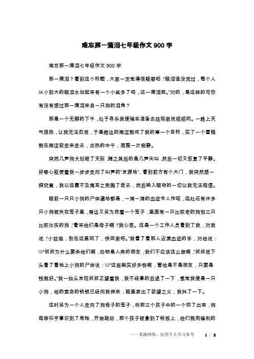 难忘那一滴泪七年级作文900字