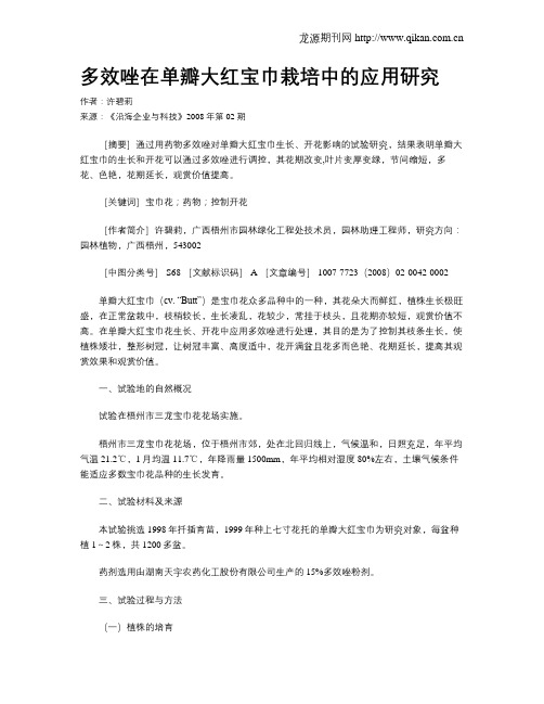 多效唑在单瓣大红宝巾栽培中的应用研究