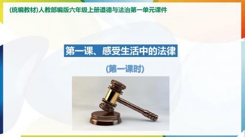 人教部编版六年级上册道德与法治1.感受生活中的法律第一课时ppt课件
