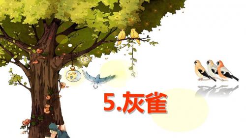 5《灰雀》公开课PPT+精美模板