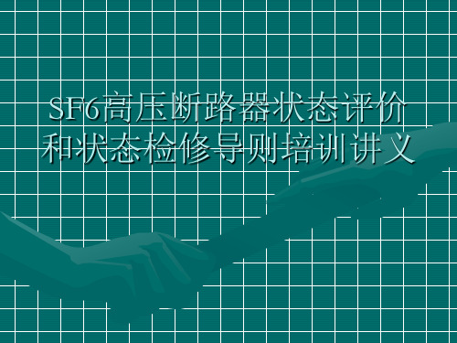 SF6高压断路器状态评价和状态检修导则培训讲义