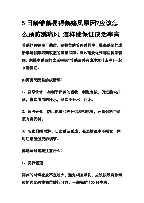 5日龄雏鹅易得鹅痛风原因应该怎么预防鹅痛风 怎样能保证成活率高