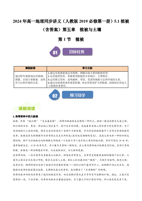 2024年高一地理同步讲义(人教版2019必修第一册)5.1植被(含答案)