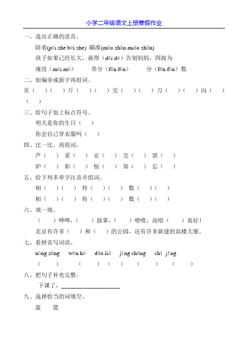 小学二年级语文上册寒假作业105