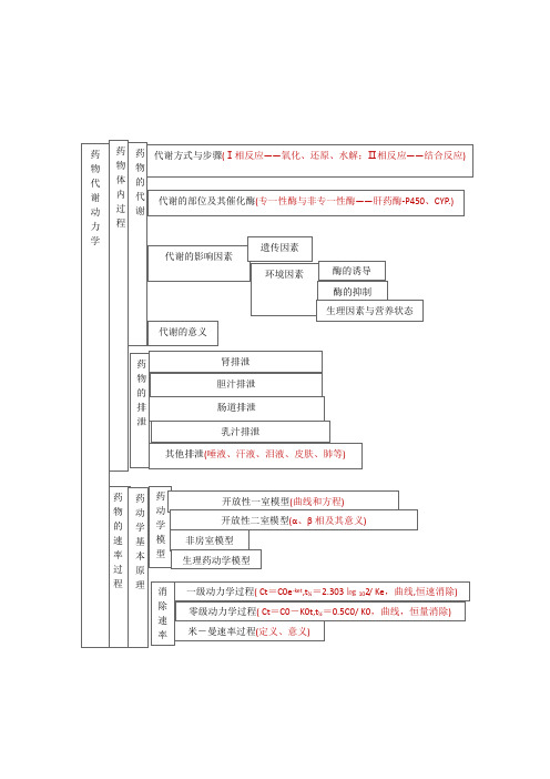 药理学药物代谢动力学思维导图